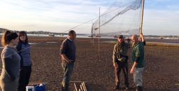 setting mist nets - Tim Frayling.jpg